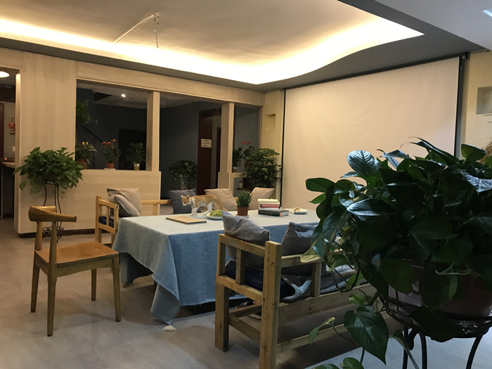 云岩延安西路盈利民宿转让实景图片