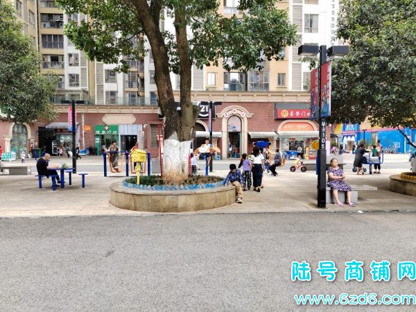 南明区花果园U区11栋空铺房东直租实景图片