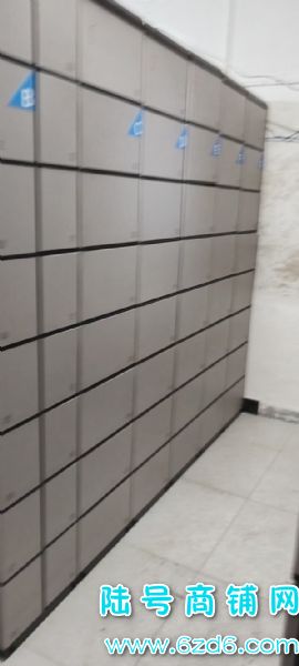 ԰11ݵתãɼ750ʵͼƬ