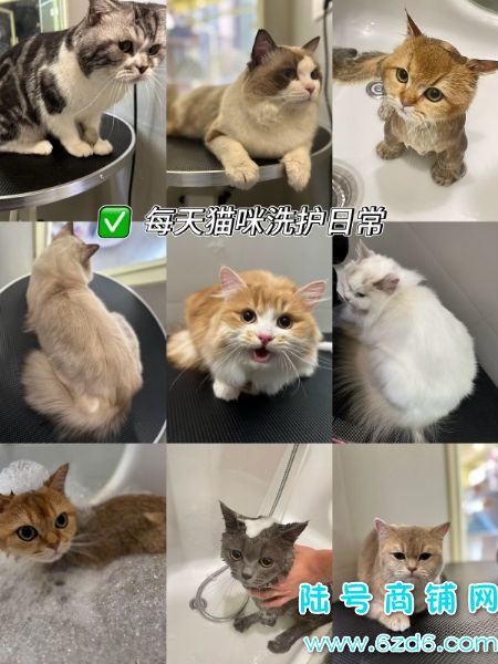 ½ţ羭ӪгתãȶͻʵͼƬ