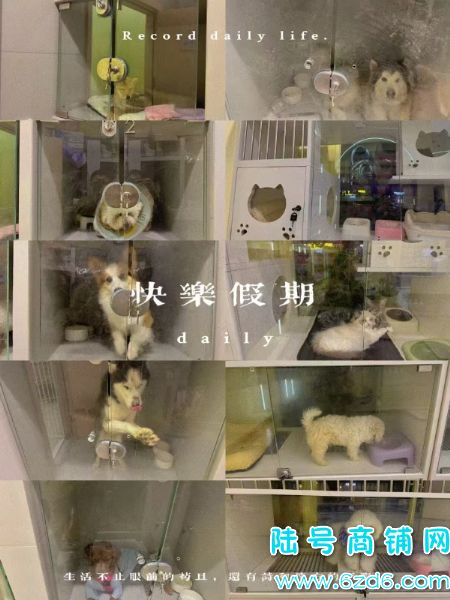 ½ţ羭ӪгתãȶͻʵͼƬ
