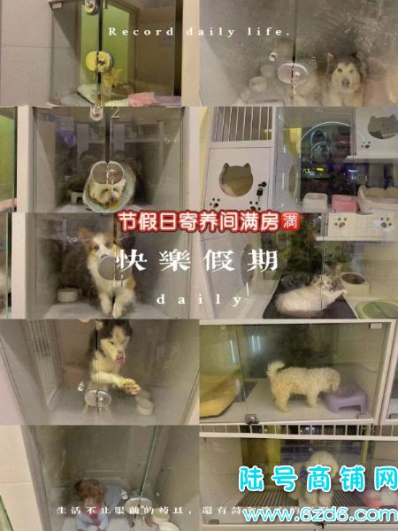 ½ţ羭ӪгתãȶͻʵͼƬ