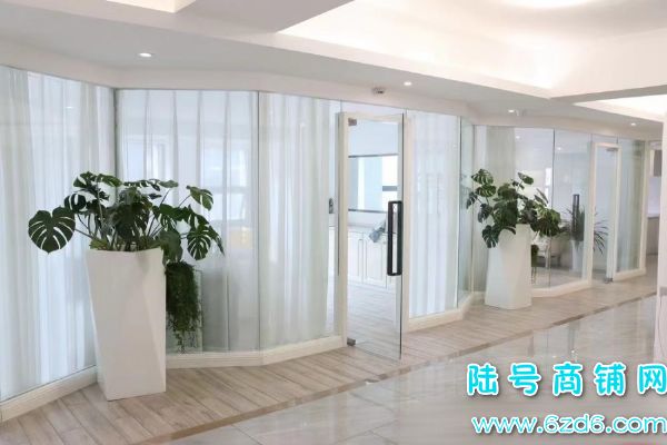 ������ת�ÿɵ�ת ���������������Ժת��ȫ�¾�װʵ��ͼƬ