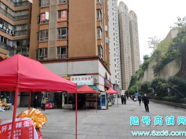 ÿ���ɼ�1000�� ����԰V��9����ݵ�ת��ʵ��ͼƬ