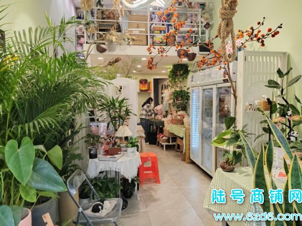 ������δ������D9�����ٽ�76ƽ����ת��ʵ��ͼƬ