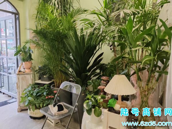 ������δ������D9�����ٽ�76ƽ����ת��ʵ��ͼƬ