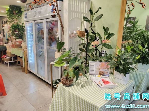 ������δ������D9�����ٽ�76ƽ����ת��ʵ��ͼƬ