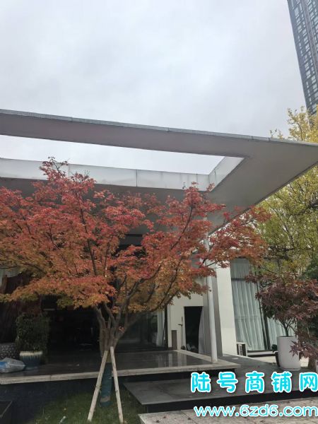 800ƽ��װ�칫���س������������������� ��ת��ʵ��ͼƬ