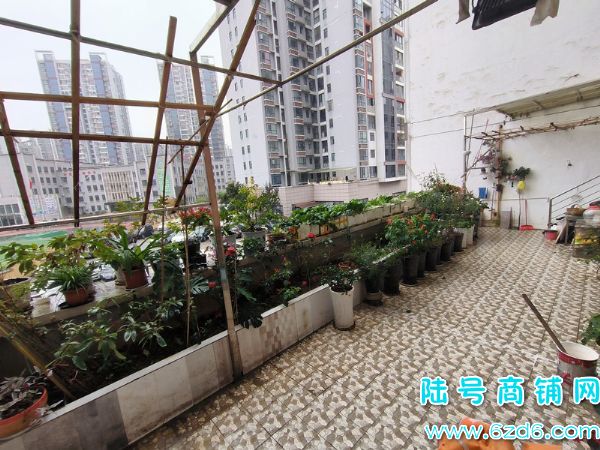 ½ţɽͳȪ´йܰתãСѧԺʵͼƬ