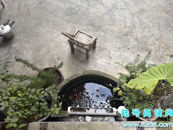 ��½�ţ���Ϫ��԰����·����600ƽ�͹�ת��ʵ��ͼƬ