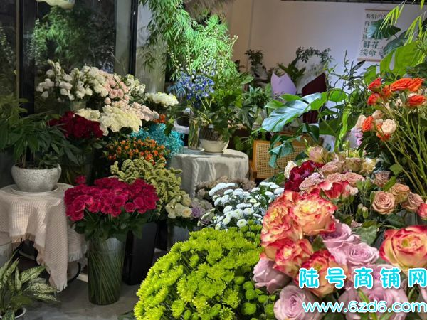 ��½�ţ���ɽ����������빫԰����ת�ã��ɽ̼���Ҳ�ɿ�תʵ��ͼƬ