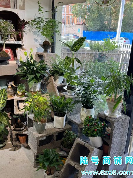 ��½�ţ���ɽ����������빫԰����ת�ã��ɽ̼���Ҳ�ɿ�תʵ��ͼƬ