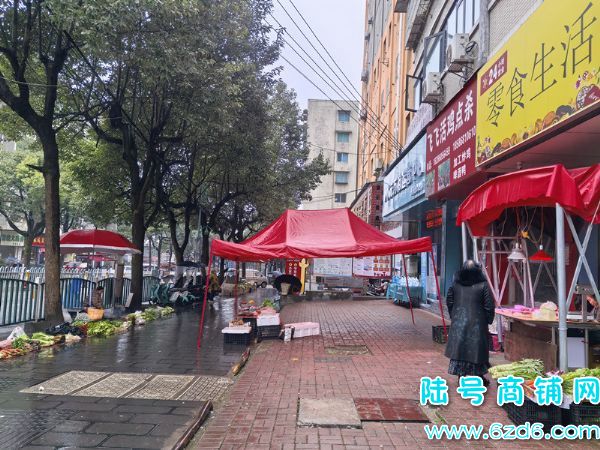 ��½�ţ������س���·�ٽ����ʳ���ת��280ƽ�ܱ�סլ����ʵ��ͼƬ