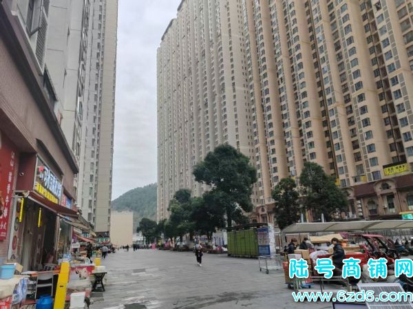 �վ��ɼ�700�� ����������԰V��17����ݵ�ͼ�תʵ��ͼƬ