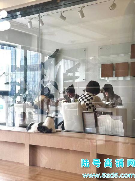 ��½�ţ���������Ӫ���д���ʾ�Ӫ�����������޵�ת��ʵ��ͼƬ