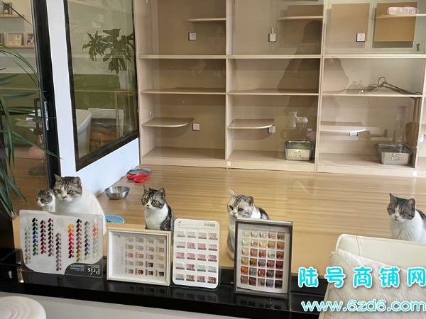 ��½�ţ���������Ӫ���д���ʾ�Ӫ�����������޵�ת��ʵ��ͼƬ