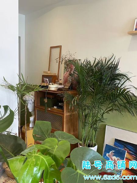 ��½�ţ���������Ӫ���д���ʾ�Ӫ�����������޵�ת��ʵ��ͼƬ