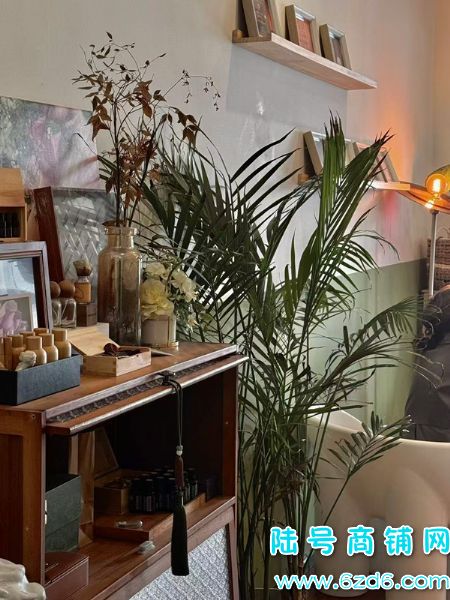 ��½�ţ���������Ӫ���д���ʾ�Ӫ�����������޵�ת��ʵ��ͼƬ