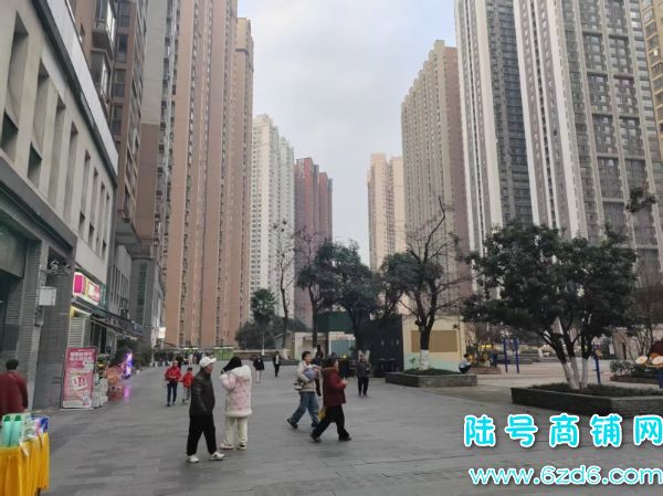 ����������԰T1��9��58ƽ���˱�����ת��ʵ��ͼƬ