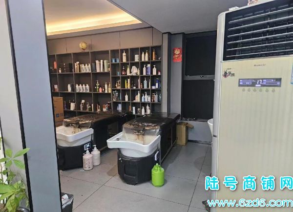 ��½�ţ�С��ת��Ԫ���־�С�����Ҿ�Ӫ������ת��ʵ��ͼƬ