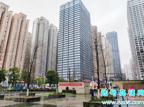 5������ ���г�������԰T1��8����Ӫ������ת��ʵ��ͼƬ