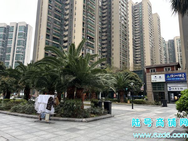 ��½�ţ���װ�޲�����ͼۼ�ת����ɽ������չ��A5�ٽ�����ʵ��ͼƬ