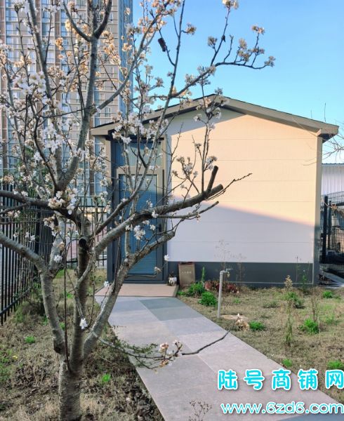 ��������700ƽ�칫���ؿ�ת�� λ����������ե��ʵ��ͼƬ