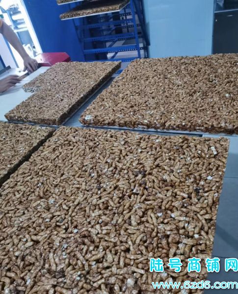 ��½�ţ�С���ڽ�·����С��ʳƷ�ӹ���ת�ã�����2500ʵ��ͼƬ