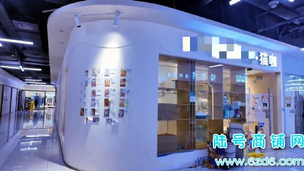 ��½�ţ���Ϫ����ѧ���ƴ��󰲹�è�������ת��ʵ��ͼƬ