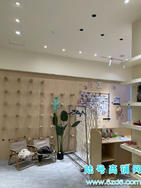 ��½�ţ���Ϫ����ѧ���ƴ��󰲹�è�������ת��ʵ��ͼƬ