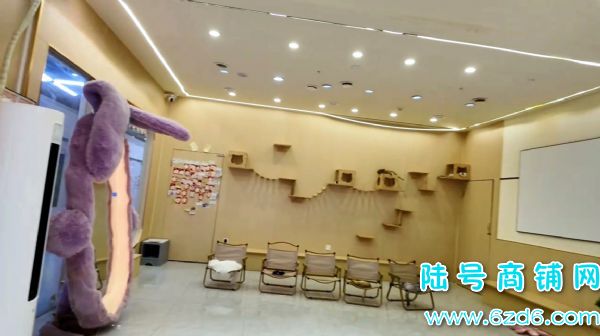 ��½�ţ���Ϫ����ѧ���ƴ��󰲹�è�������ת��ʵ��ͼƬ