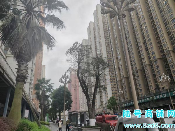 �ɼ�600 ����԰L2��10���ϴ��ݵ�ͼ�ת��ʵ��ͼƬ