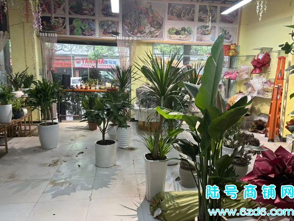 ��½�ţ�����1500�������ػ��Ǳ�·220ƽ����ת�ã��ɿ�תʵ��ͼƬ