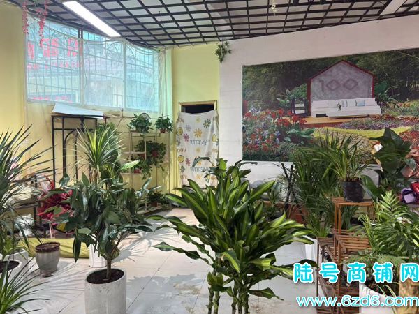 ��½�ţ�����1500�������ػ��Ǳ�·220ƽ����ת�ã��ɿ�תʵ��ͼƬ