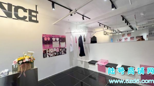 �ڵ�����������300ƽ�赸��ѵ����ת�ã���Դһ�ٶ��ʵ��ͼƬ