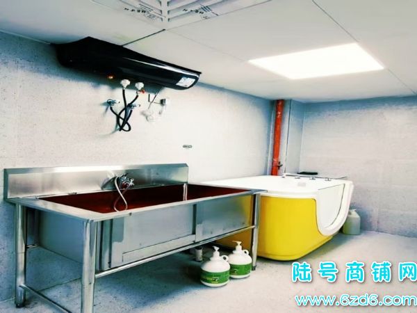 ��½�ţ�������δ������E���ų����ת��ʵ��ͼƬ