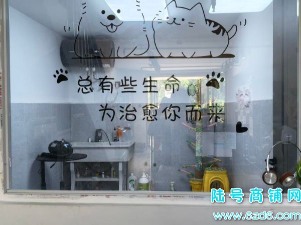 ��½�ţ�������δ������E���ų����ת��ʵ��ͼƬ