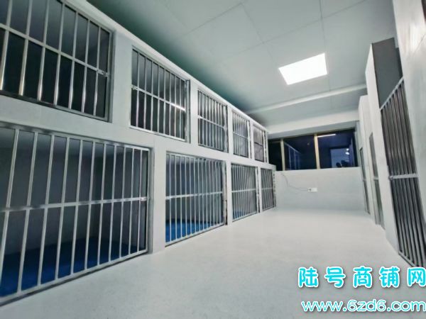 ��½�ţ�������δ������E���ų����ת��ʵ��ͼƬ