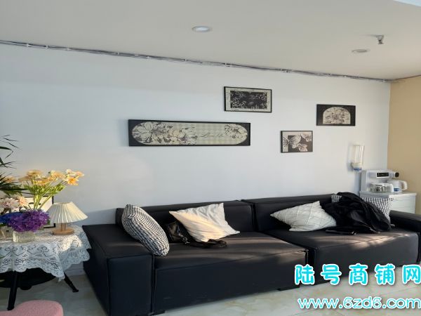 ��½�ţ������������ĵض�̩�������������޵�ת��ʵ��ͼƬ