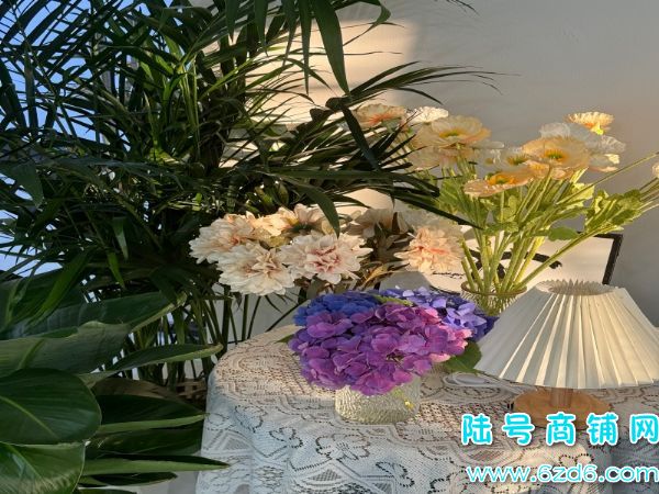 ��½�ţ������������ĵض�̩�������������޵�ת��ʵ��ͼƬ