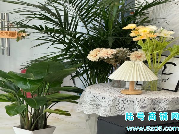 ��½�ţ������������ĵض�̩�������������޵�ת��ʵ��ͼƬ