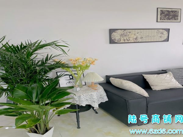 ��½�ţ������������ĵض�̩�������������޵�ת��ʵ��ͼƬ