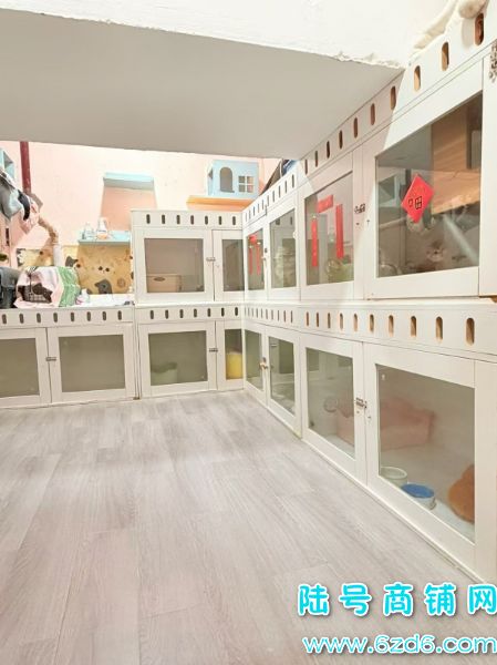 ����԰M��9����ҵ�ֽ����ڵ�һ����������ת�á�����Աʵ��ͼƬ
